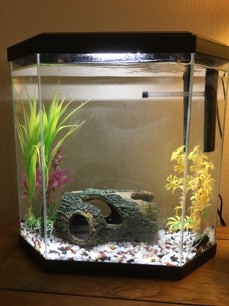 25 litre fish tank